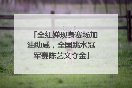 全红婵现身赛场加油助威，全国跳水冠军赛陈艺文夺金