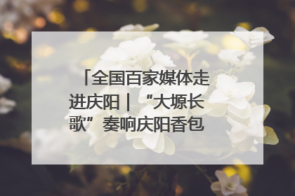 全国百家媒体走进庆阳｜“大塬长歌”奏响庆阳香包民俗文化节序曲