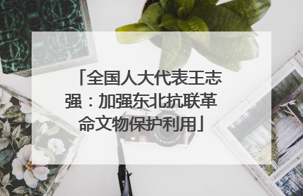 全国人大代表王志强：加强东北抗联革命文物保护利用
