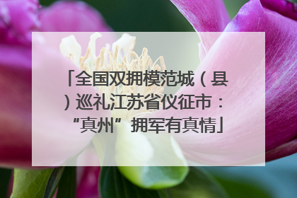 全国双拥模范城（县）巡礼江苏省仪征市：“真州”拥军有真情