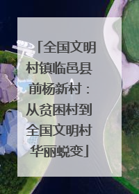 全国文明村镇临邑县前杨新村：从贫困村到全国文明村华丽蜕变