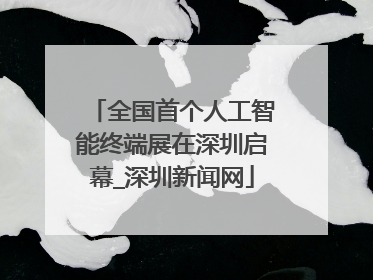 全国首个人工智能终端展在深圳启幕_深圳新闻网