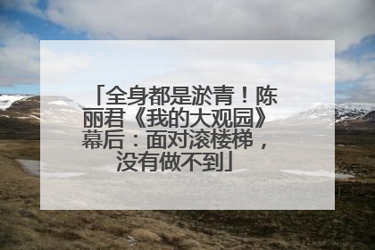 全身都是淤青！陈丽君《我的大观园》幕后：面对滚楼梯，没有做不到