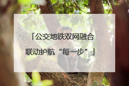 公交地铁双网融合 联动护航“每一步”