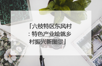 六枝特区东风村：特色产业绘就乡村振兴新图景
