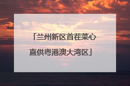 兰州新区首茬菜心直供粤港澳大湾区