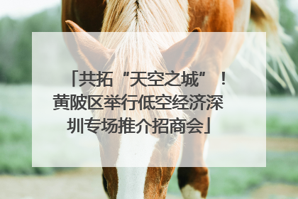 共拓“天空之城”！黄陂区举行低空经济深圳专场推介招商会
