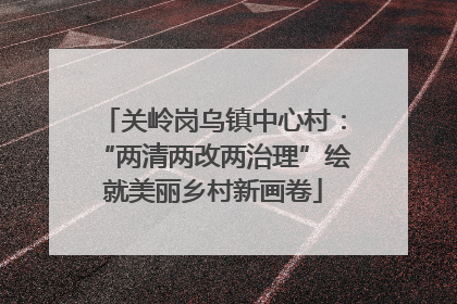 关岭岗乌镇中心村：“两清两改两治理”绘就美丽乡村新画卷