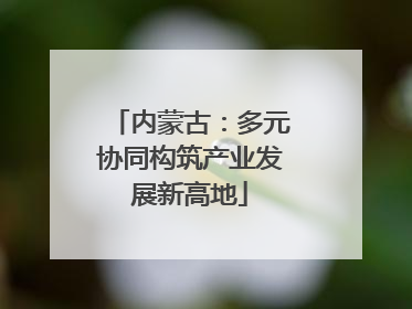 内蒙古：多元协同构筑产业发展新高地