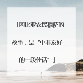 冈比亚农民穆萨的故事，是“中非友好的一段佳话”
