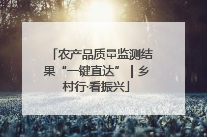 农产品质量监测结果“一键直达”｜乡村行·看振兴