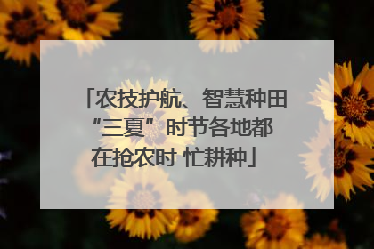 农技护航、智慧种田 “三夏”时节各地都在抢农时 忙耕种