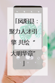 凤阳县：聚力人才引擎 共绘“大明华章”