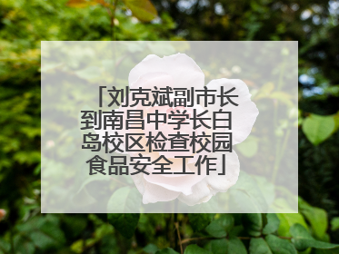 刘克斌副市长到南昌中学长白岛校区检查校园食品安全工作