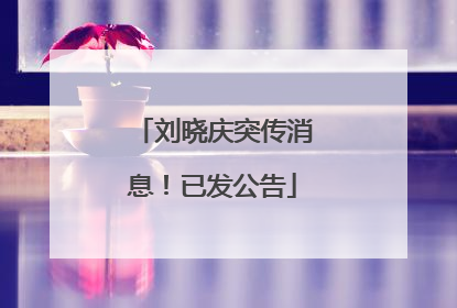 刘晓庆突传消息！已发公告