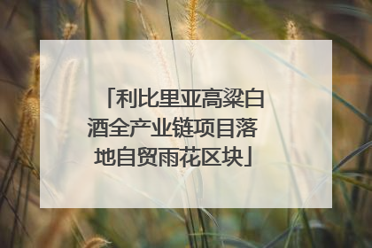 利比里亚高粱白酒全产业链项目落地自贸雨花区块