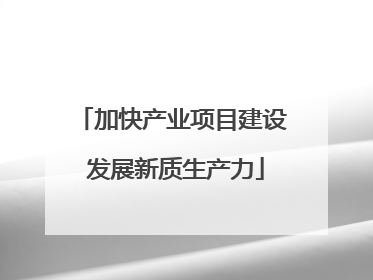 加快产业项目建设 发展新质生产力
