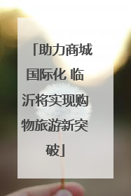 助力商城国际化 临沂将实现购物旅游新突破