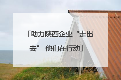 助力陕西企业“走出去” 他们在行动