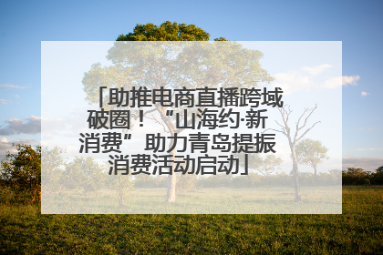 助推电商直播跨域破圈！“山海约·新消费”助力青岛提振消费活动启动