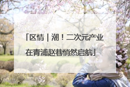 区情｜潮！二次元产业在青浦赵巷悄然启航