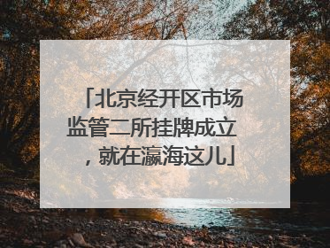 北京经开区市场监管二所挂牌成立，就在瀛海这儿