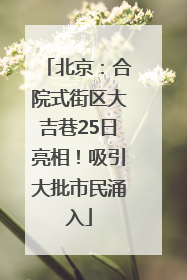 北京：合院式街区大吉巷25日亮相！吸引大批市民涌入