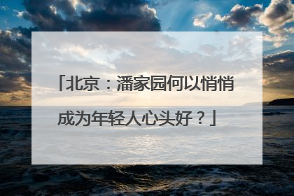 北京：潘家园何以悄悄成为年轻人心头好？