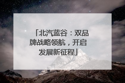 北汽蓝谷：双品牌战略领航，开启发展新征程