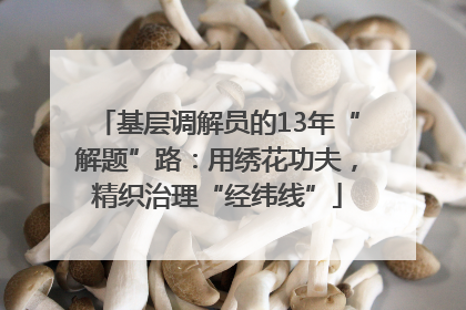 基层调解员的13年“解题”路：用绣花功夫，精织治理“经纬线”