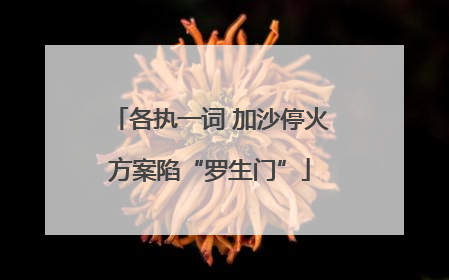 各执一词 加沙停火方案陷“罗生门”