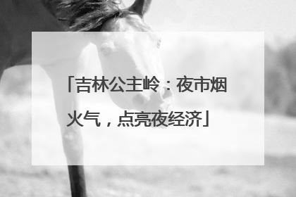 吉林公主岭：夜市烟火气，点亮夜经济