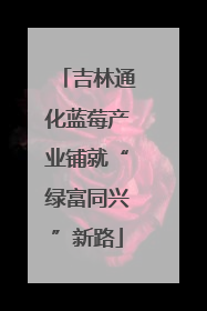 吉林通化蓝莓产业铺就“绿富同兴”新路