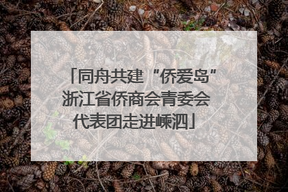 同舟共建“侨爱岛” 浙江省侨商会青委会代表团走进嵊泗
