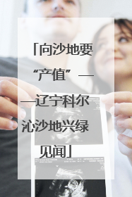 向沙地要“产值”——辽宁科尔沁沙地兴绿见闻