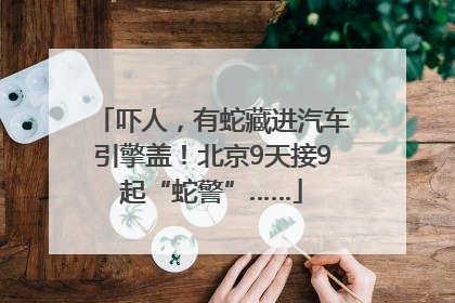 吓人，有蛇藏进汽车引擎盖！北京9天接9起“蛇警”……