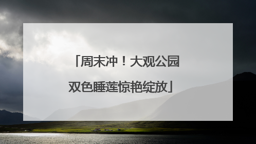 周末冲！大观公园双色睡莲惊艳绽放