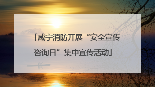 咸宁消防开展“安全宣传咨询日”集中宣传活动