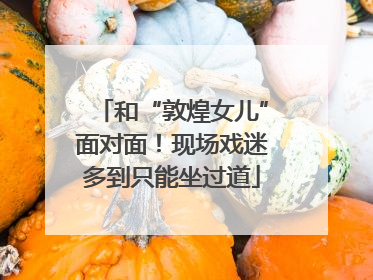 和“敦煌女儿”面对面！现场戏迷多到只能坐过道