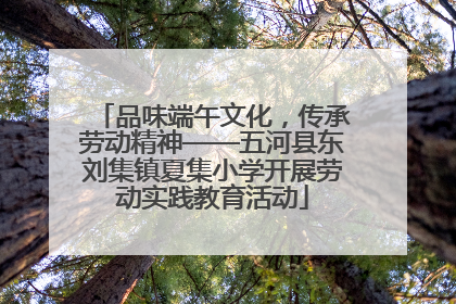 品味端午文化，传承劳动精神——五河县东刘集镇夏集小学开展劳动实践教育活动