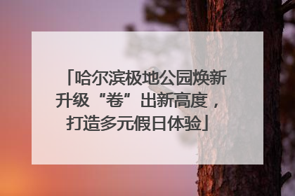 哈尔滨极地公园焕新升级“卷”出新高度，打造多元假日体验