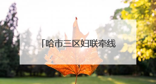 哈市三区妇联牵线青年联谊 助力后亚冬谱冰雪奇缘