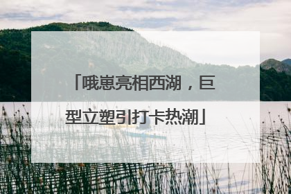 哦崽亮相西湖，巨型立塑引打卡热潮