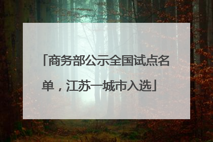 商务部公示全国试点名单，江苏一城市入选