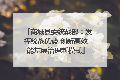 商城县委统战部：发挥统战优势 创新高效能基层治理新模式