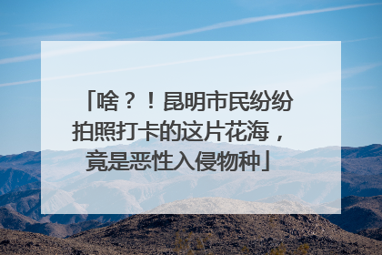 啥？！昆明市民纷纷拍照打卡的这片花海，竟是恶性入侵物种