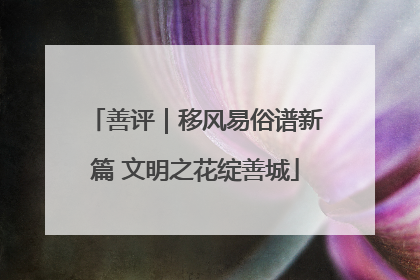 善评｜移风易俗谱新篇 文明之花绽善城