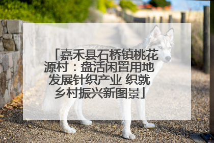 嘉禾县石桥镇桃花源村：盘活闲置用地发展针织产业 织就乡村振兴新图景