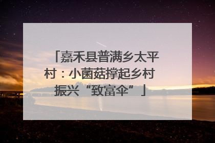嘉禾县普满乡太平村：小菌菇撑起乡村振兴“致富伞”