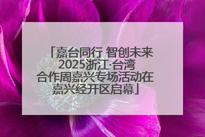 嘉台同行 智创未来 2025浙江·台湾合作周嘉兴专场活动在嘉兴经开区启幕